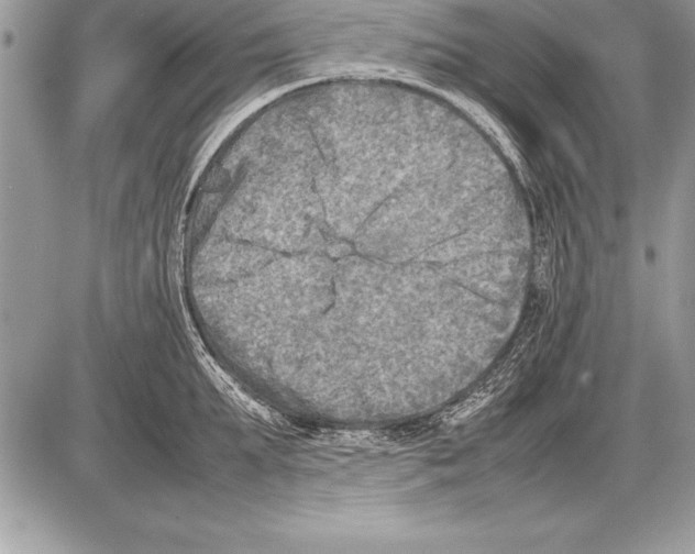 X0000085730903200704131616