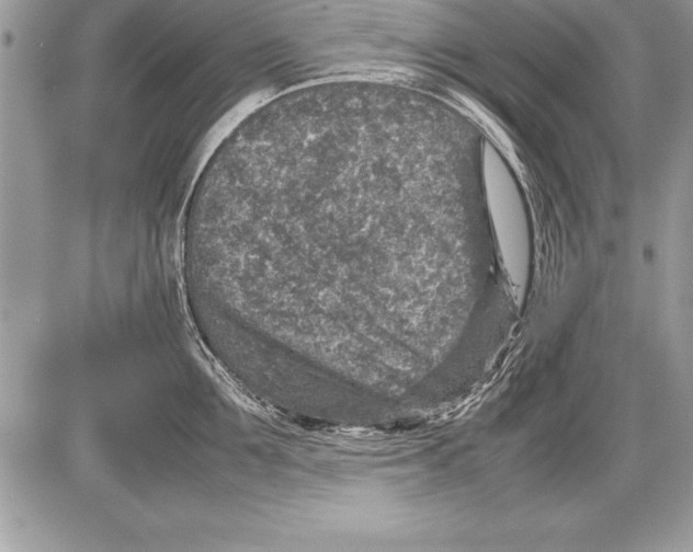 X0000085730907200704131616