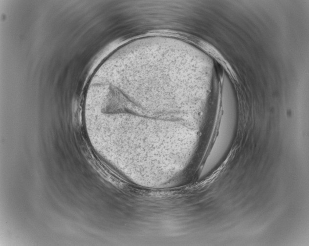 X0000085730908200704131616