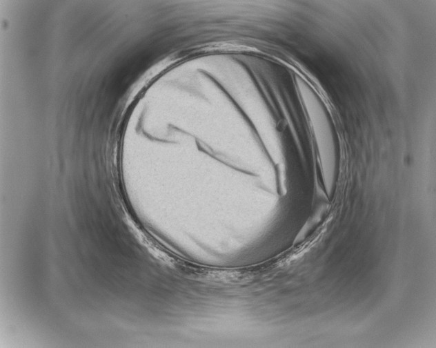 X0000085730909200704131616