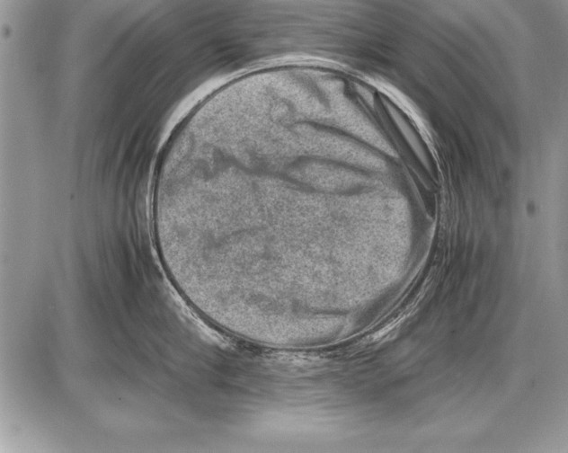 X0000085730910200704131616