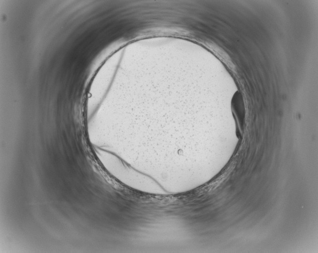 X0000085730912200704131616