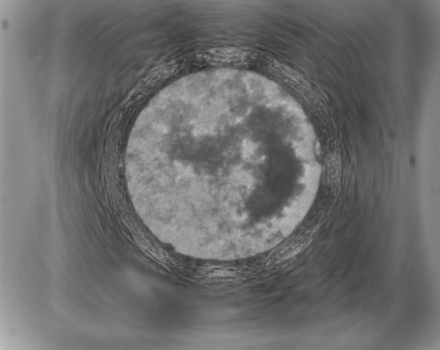 X0000085730913200704131615