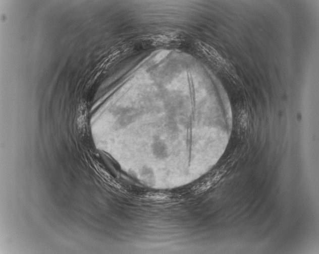 X0000085730914200704131615