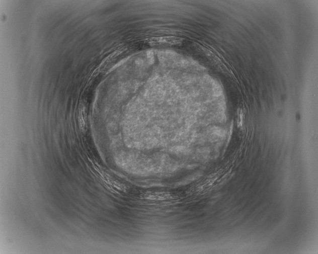 X0000085730915200704131615