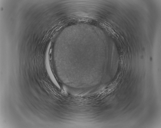 X0000085730916200704131615