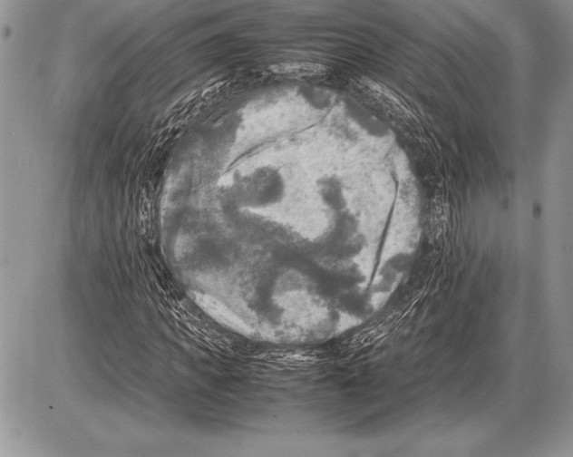 X0000085730917200704131615