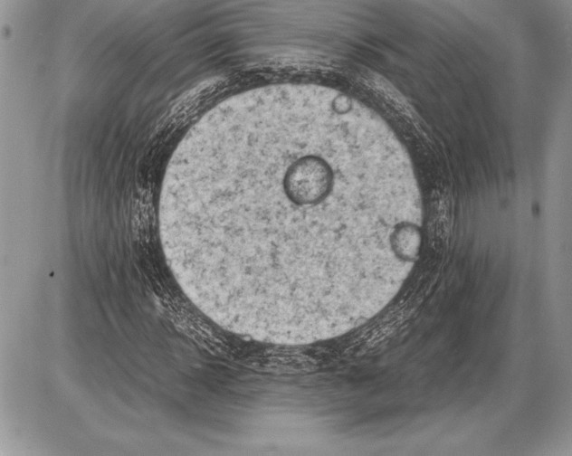 X0000085730918200704131615