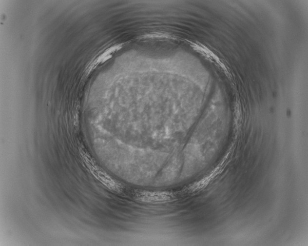 X0000085730921200704131615