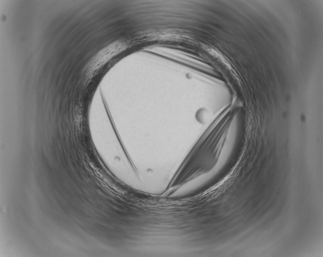 X0000085730922200704131615