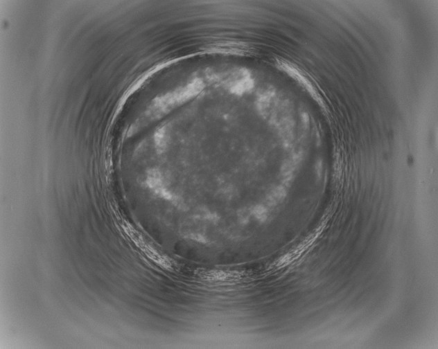 X0000085730923200704131615