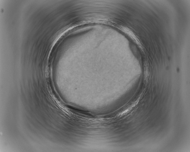 X0000085730924200704131615