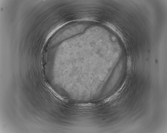 X0000085730925200704131615