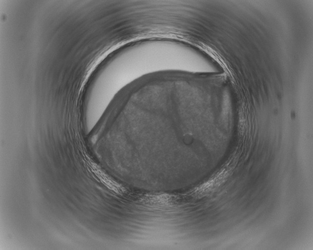 X0000085730926200704131615