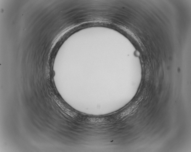 X0000085730927200704131615