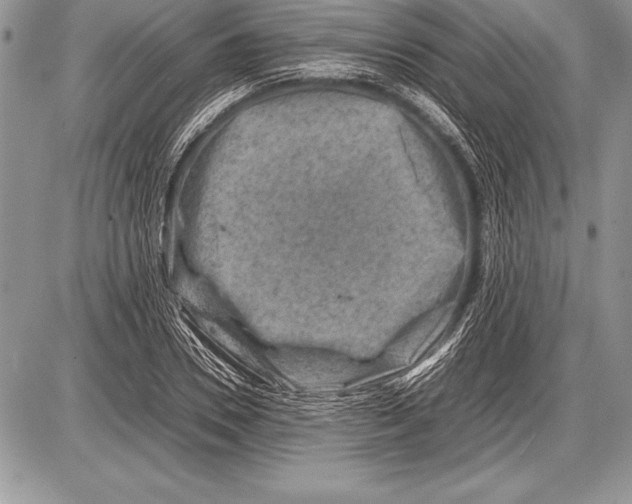 X0000085730930200704131615