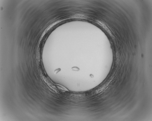 X0000085730931200704131615