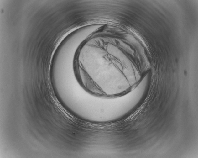 X0000085730932200704131615