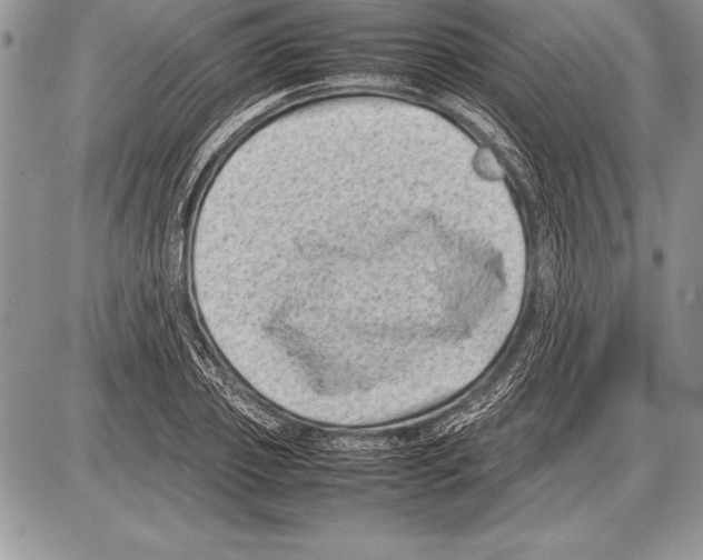 X0000085730933200704131615