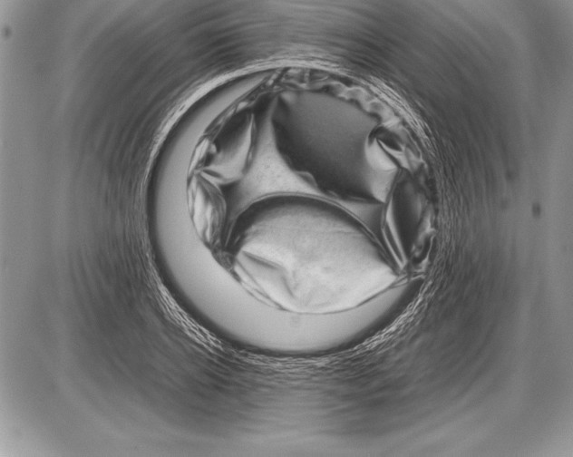 X0000085730934200704131615