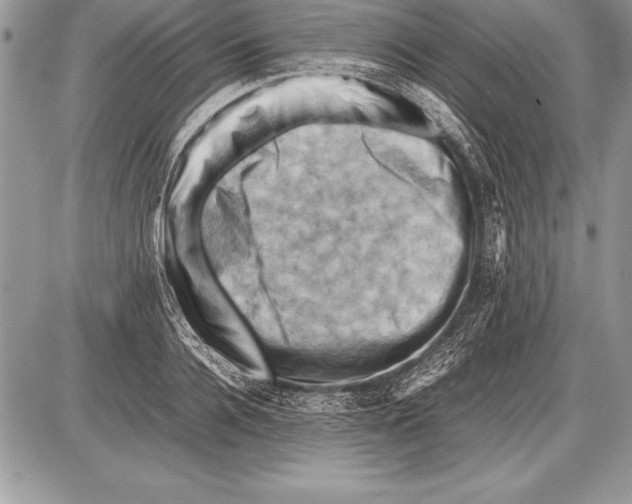 X0000085730936200704131615