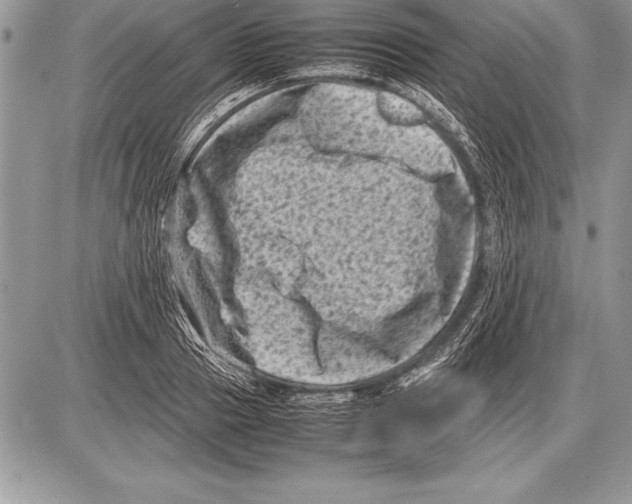 X0000085730937200704131615