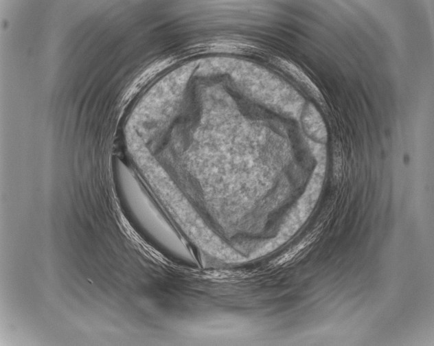 X0000085730938200704131615