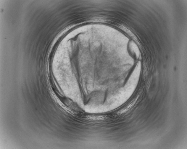 X0000085730939200704131615