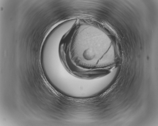 X0000085730940200704131615