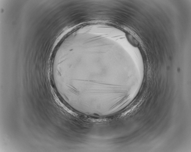 X0000085730941200704131615