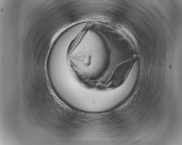 X0000085730944200704131615