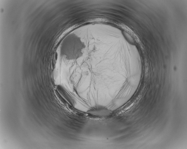 X0000085730945200704131616