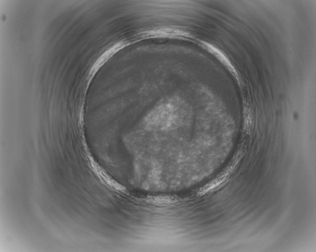 X0000085730946200704131616