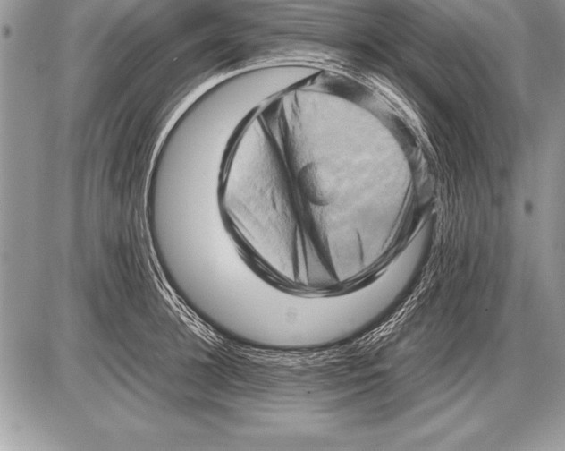 X0000085730948200704131616