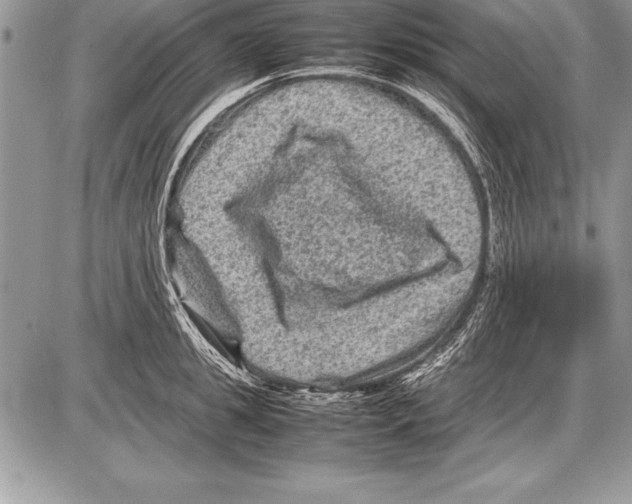 X0000085730949200704131616