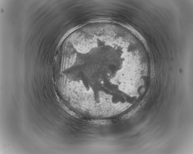 X0000085730953200704131616