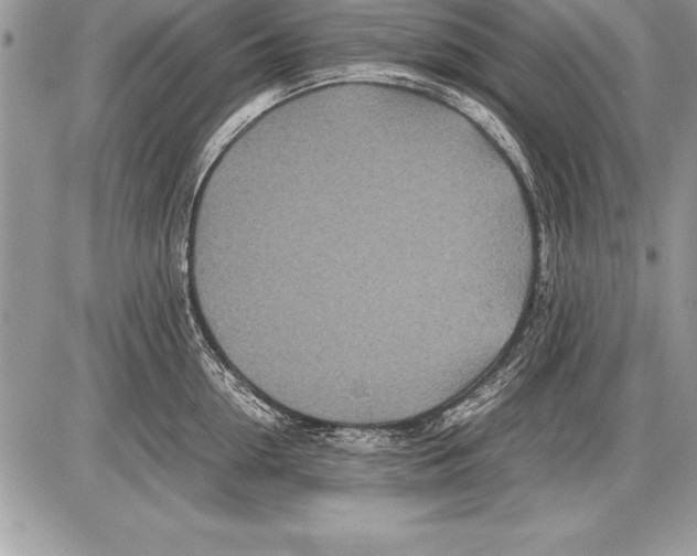 X0000085730954200704131616