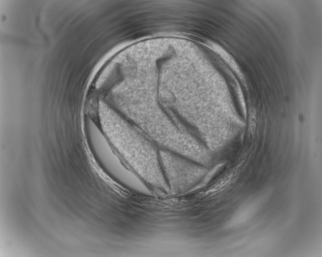 X0000085730955200704131616