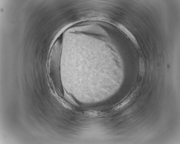 X0000085730956200704131616