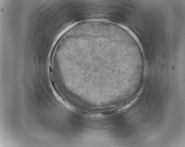 X0000085730957200704131616