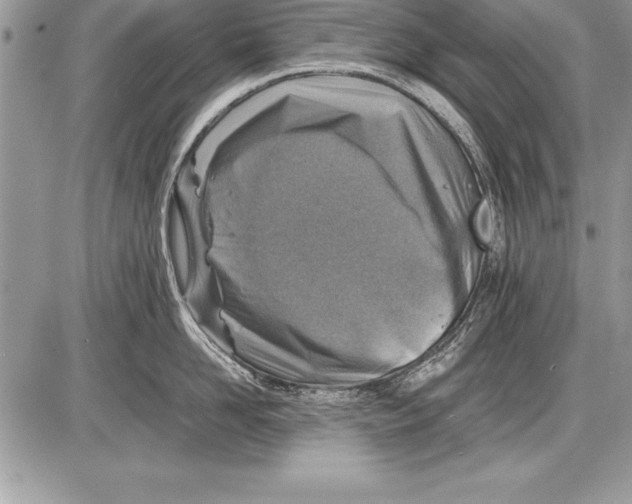 X0000085730958200704131616