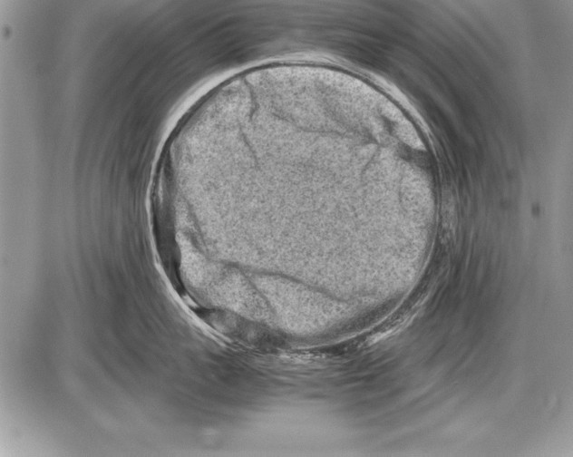 X0000085730959200704131616