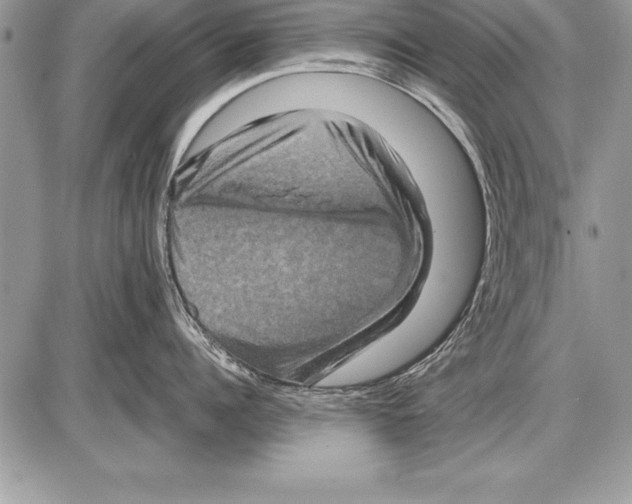 X0000085730960200704131616