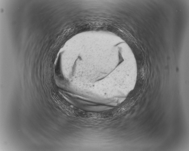 X0000085730961200704131615