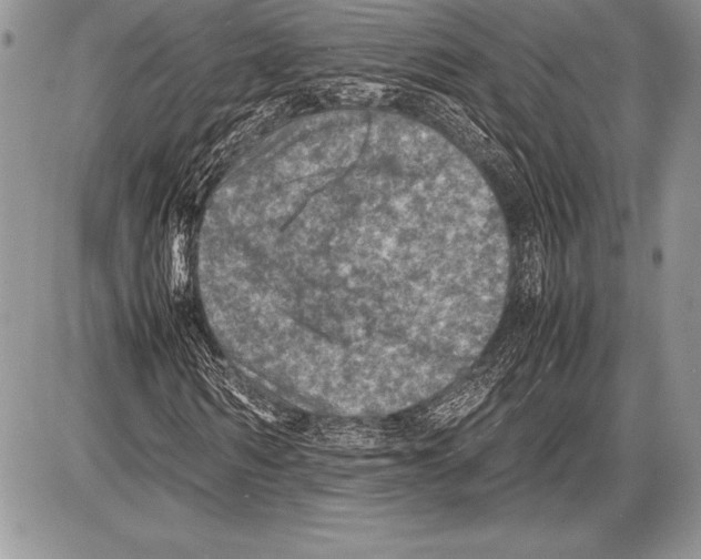 X0000085730962200704131615