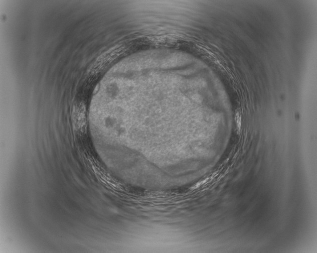 X0000085730963200704131615