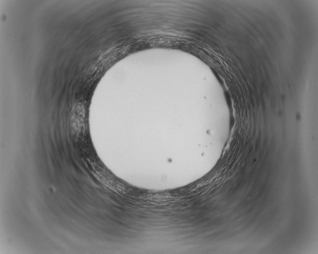 X0000085730964200704131615