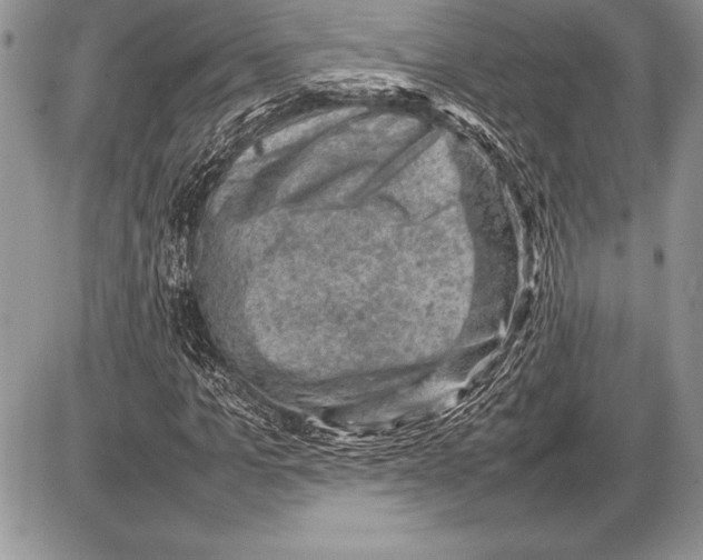 X0000085730965200704131615