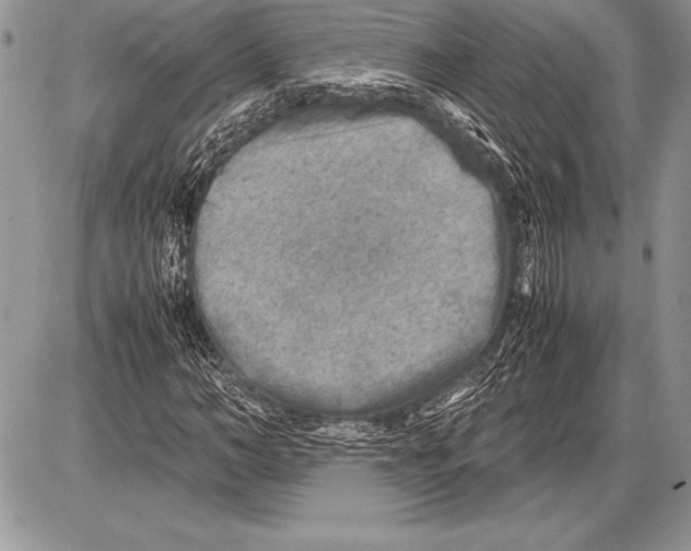 X0000085730966200704131615