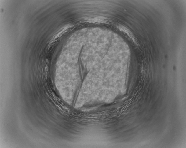 X0000085730968200704131615